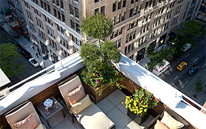 rooftop
